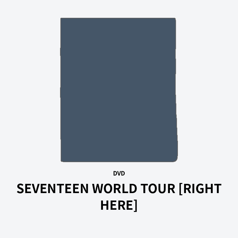 SEVENTEEN WORLD TOUR [RIGHT HERE]