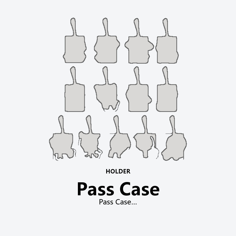 Pass Case