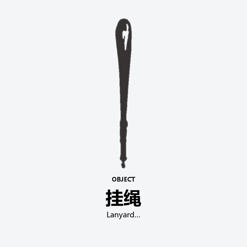 Lanyard