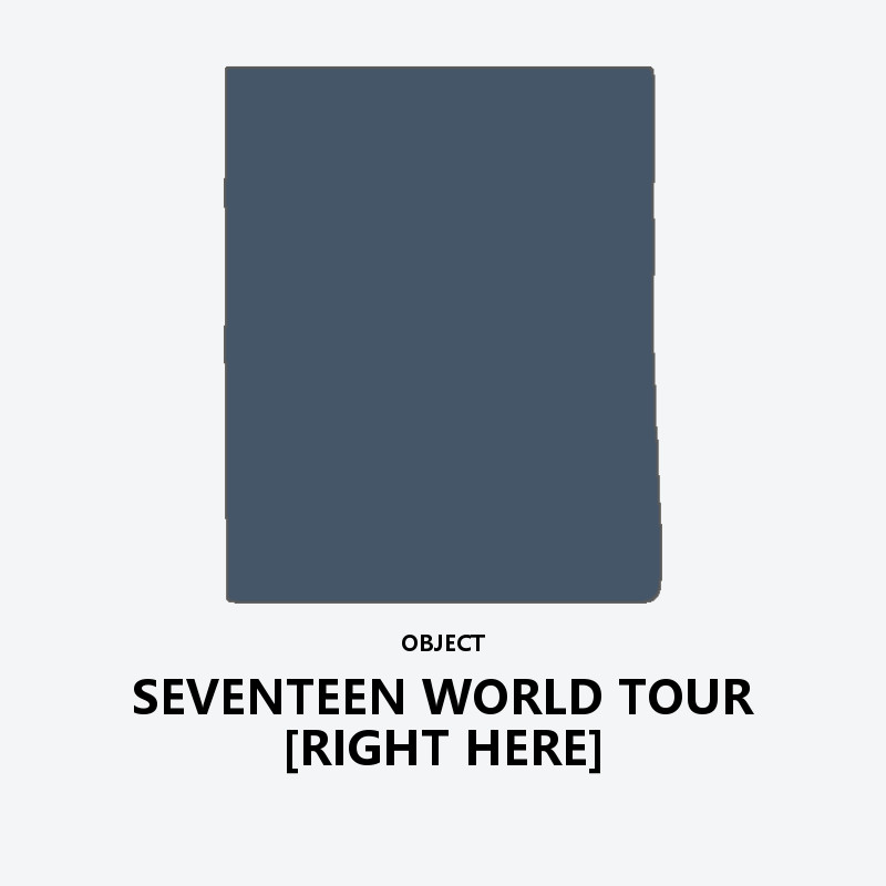 SEVENTEEN WORLD TOUR [RIGHT HERE]