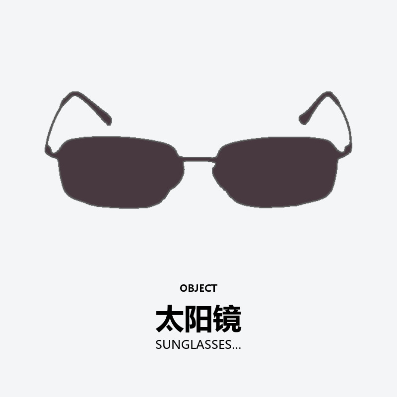 SUNGLASSES